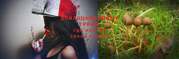 круглые Алексеевка
