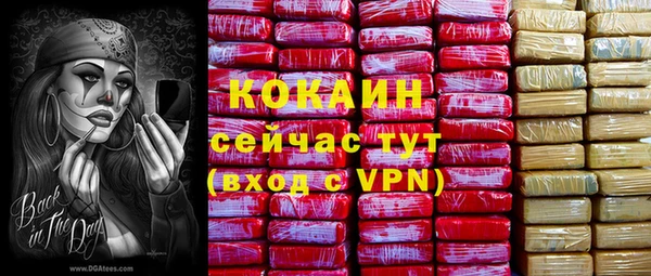 дживик Алзамай