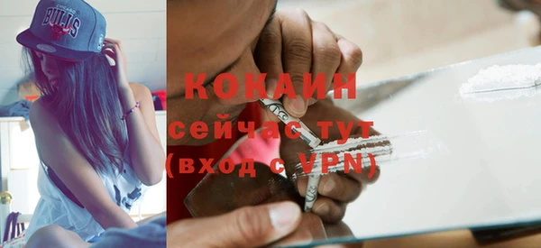 дживик Алзамай