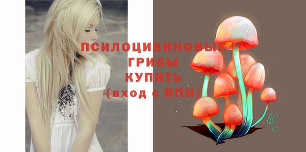 дживик Алзамай