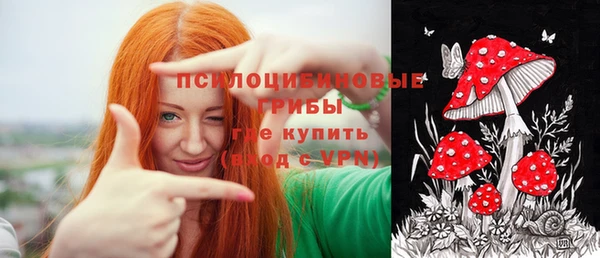 круглые Алексеевка