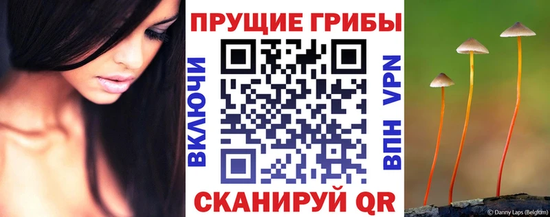 omg ТОР  Полевской  Псилоцибиновые грибы MAGIC MUSHROOMS  наркота 