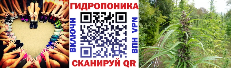 МЕГА ONION  маркетплейс формула  Каннабис семена  где можно купить   Полевской 